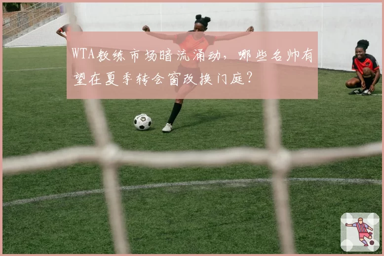 WTA教练市场暗流涌动，哪些名帅有望在夏季转会窗改换门庭？