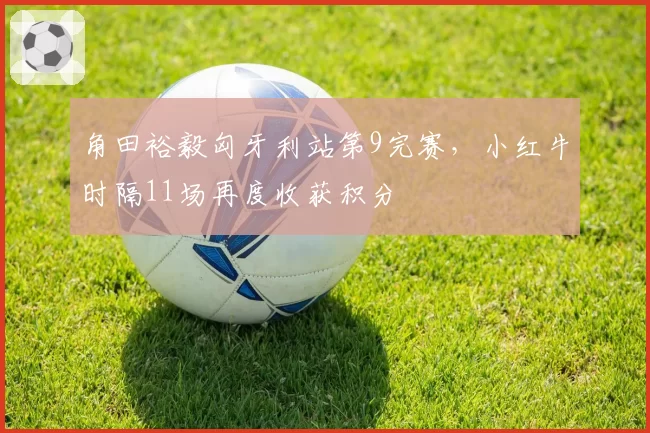 角田裕毅匈牙利站第9完赛,小红牛时隔11场再度收获积分