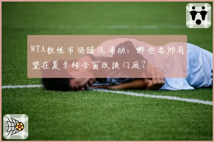 WTA教练市场暗流涌动，哪些名帅有望在夏季转会窗改换门庭？