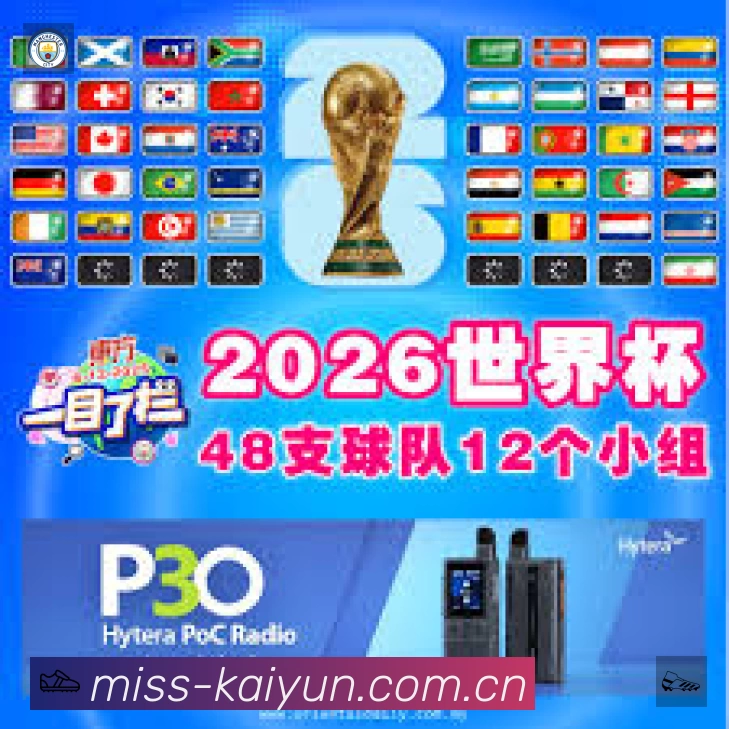 看点解析